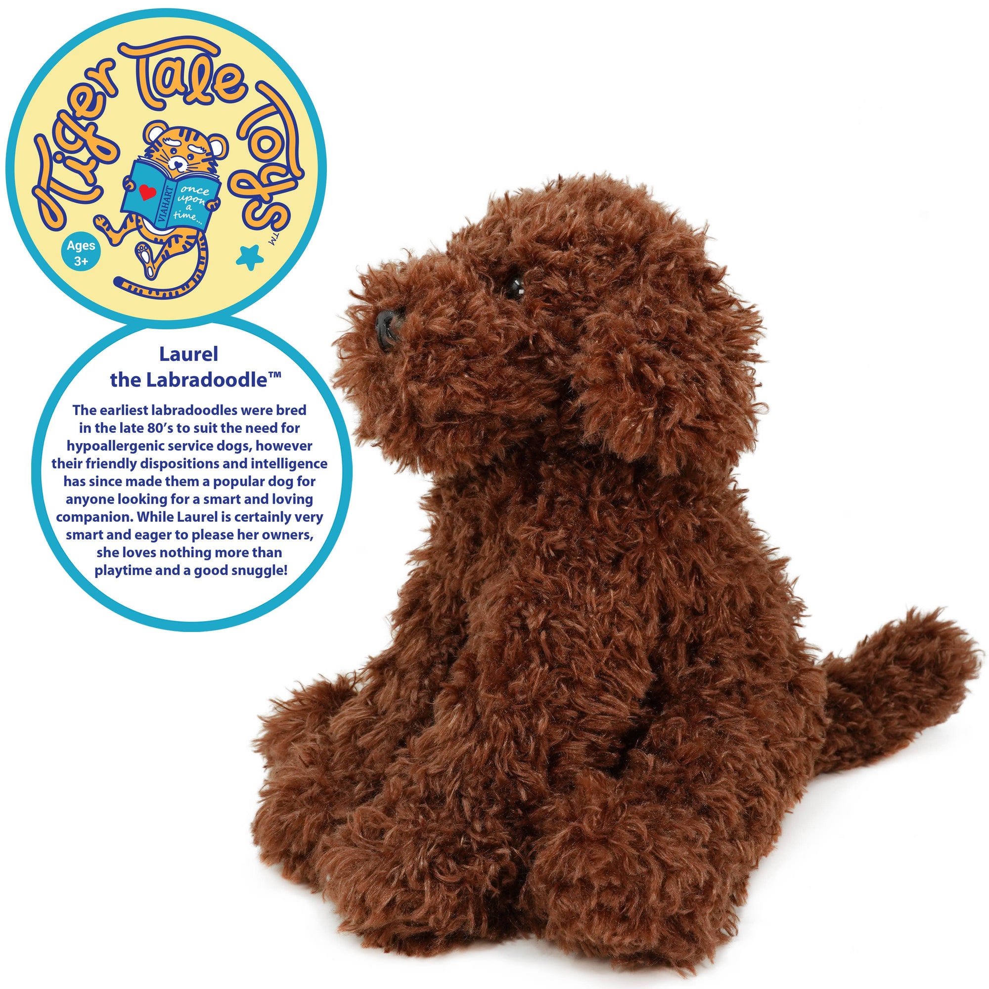 Laurel The Labradoodle