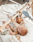 Fish Handheld Baby Rattle