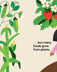 Our Food Grows by Sarah M. White: Hardcover; 32 pages / English