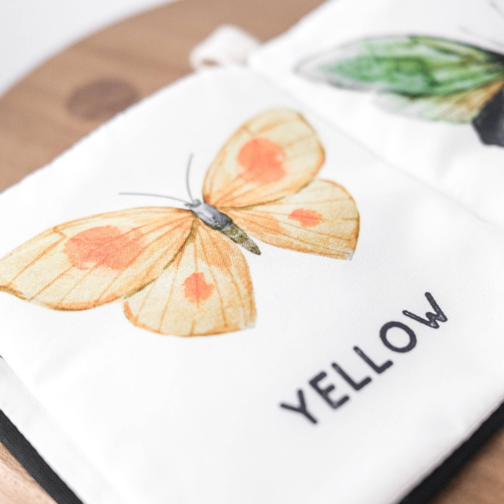 COLORS OF BUTTERFLIES