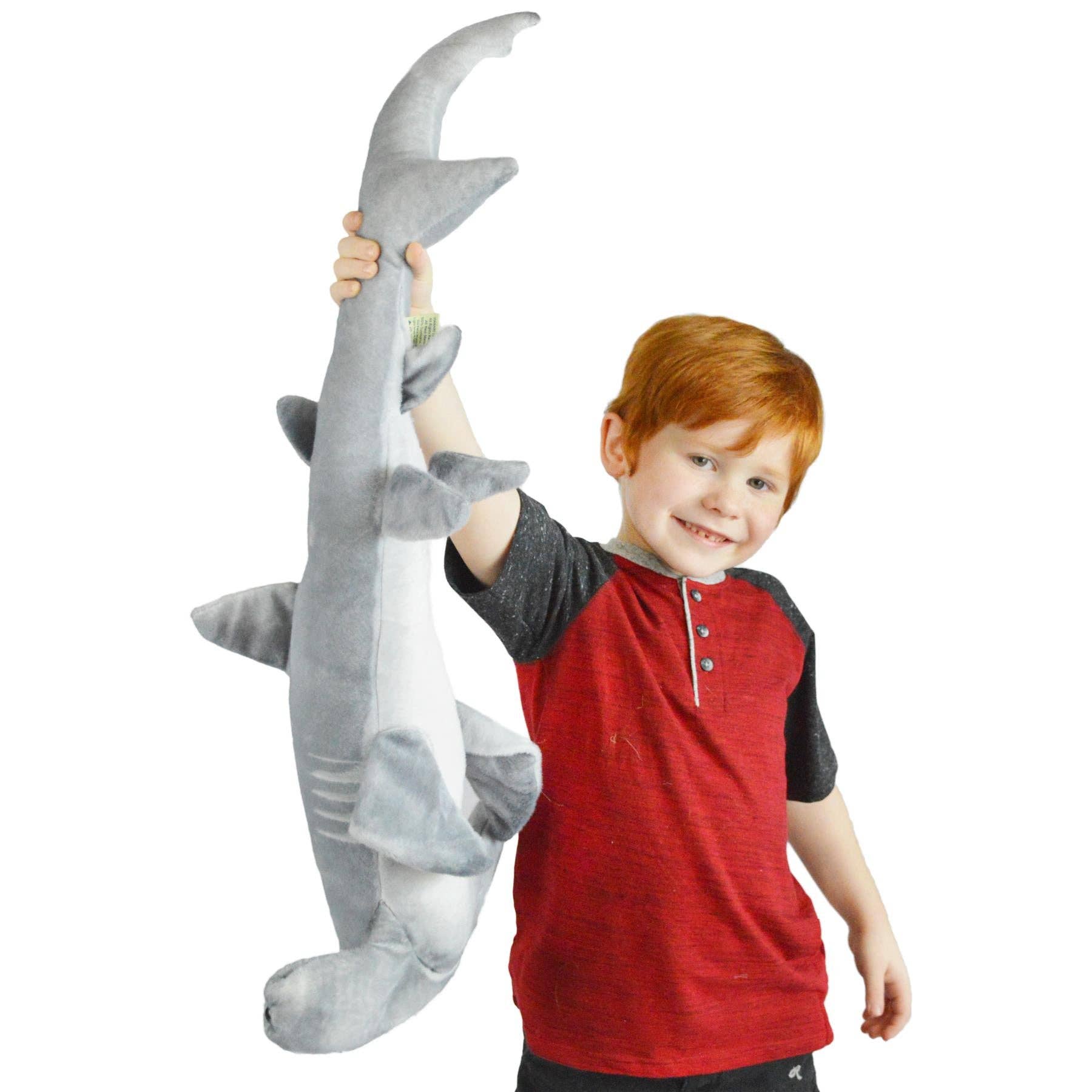 MC The Hammerhead Shark