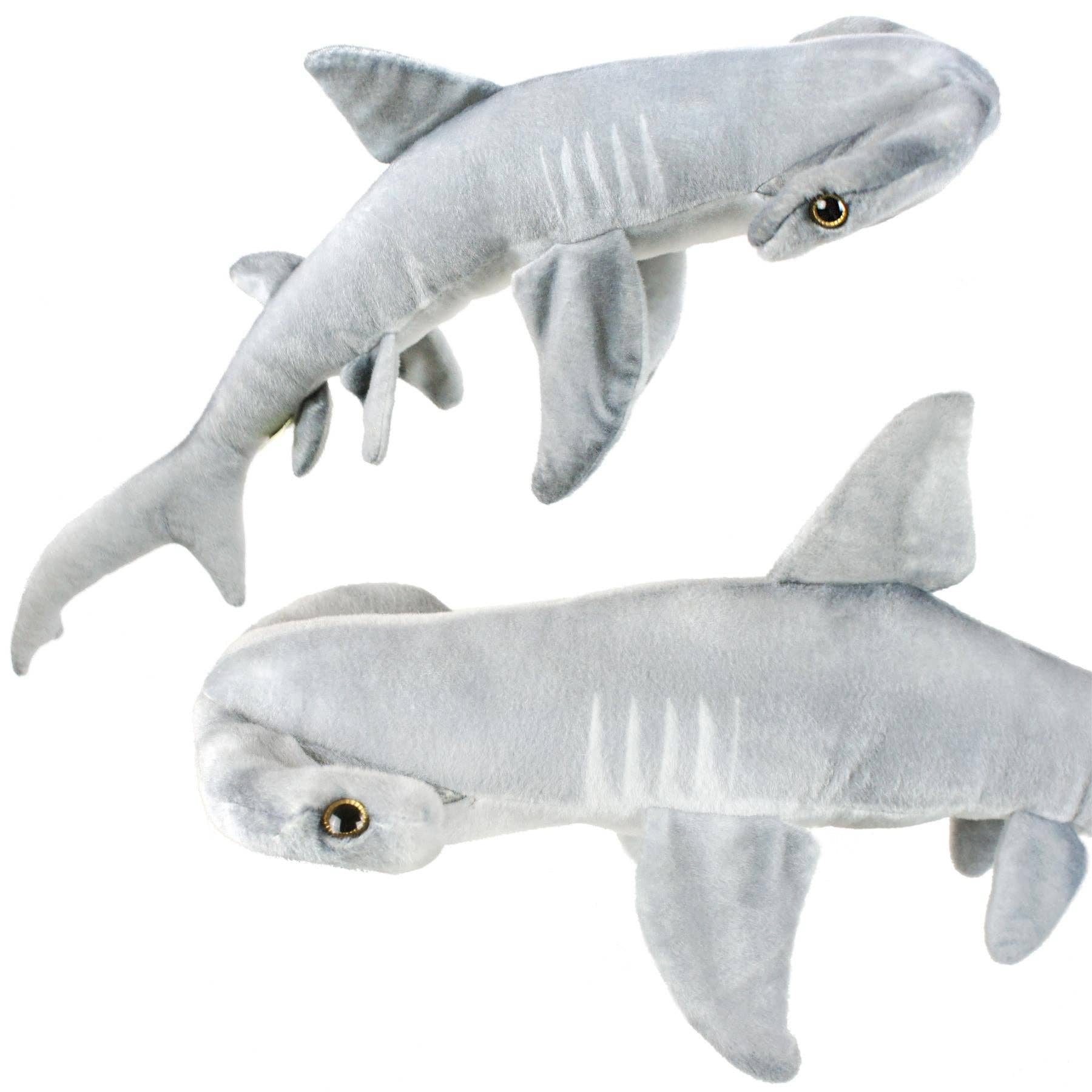 MC The Hammerhead Shark