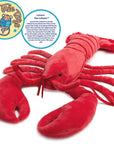 Lenora The Lobster