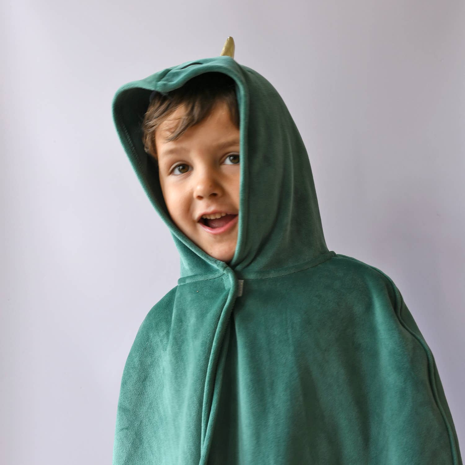 Dinosaur Dress Up Velvet Cape 3-10 Years