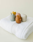 Animal Mold Free Silicone Bath Toy Set