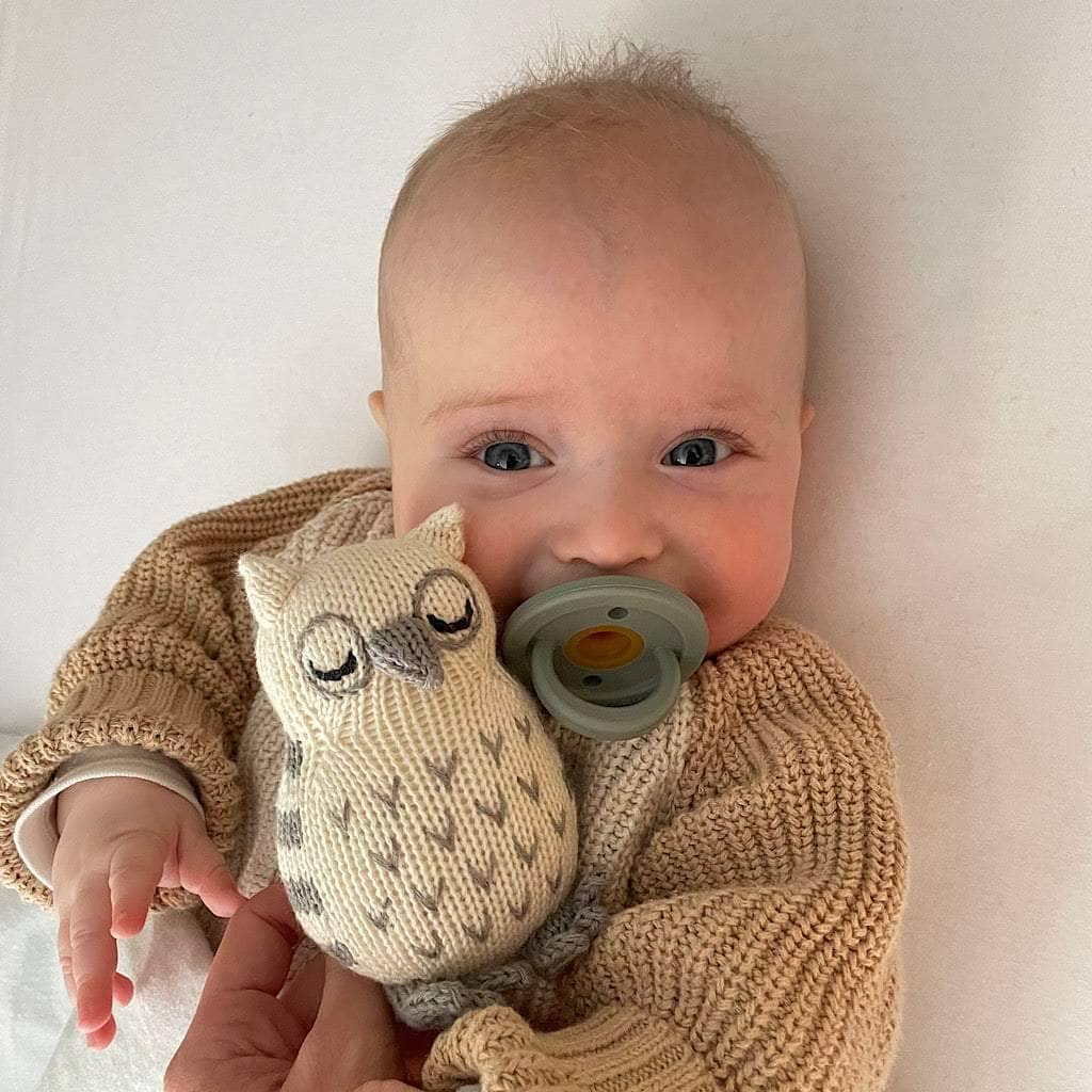 Owl Toy Baby Rattle