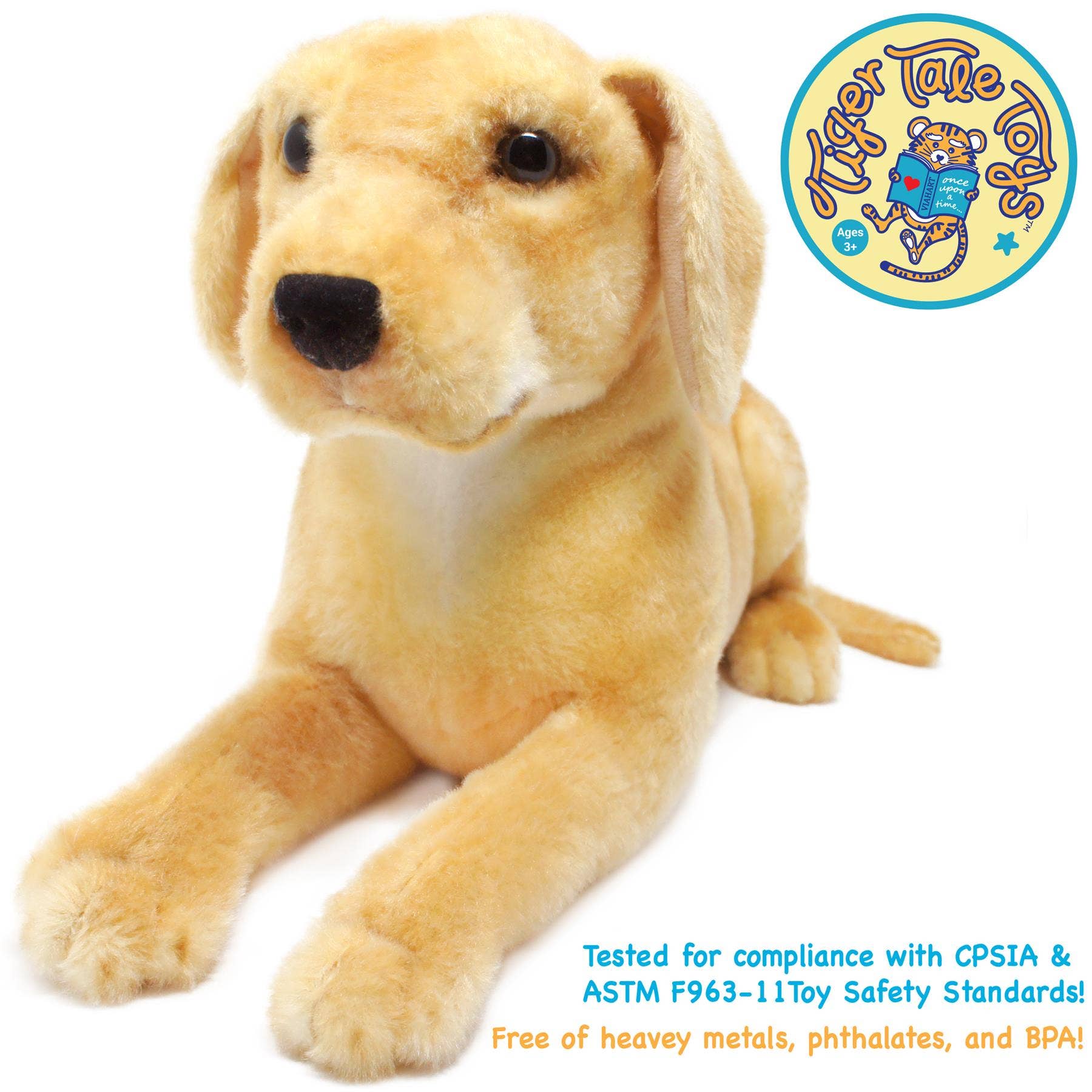 Mason The Labrador