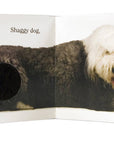 Dog by Matthew Van Fleet: Novelty; 20 pages / English