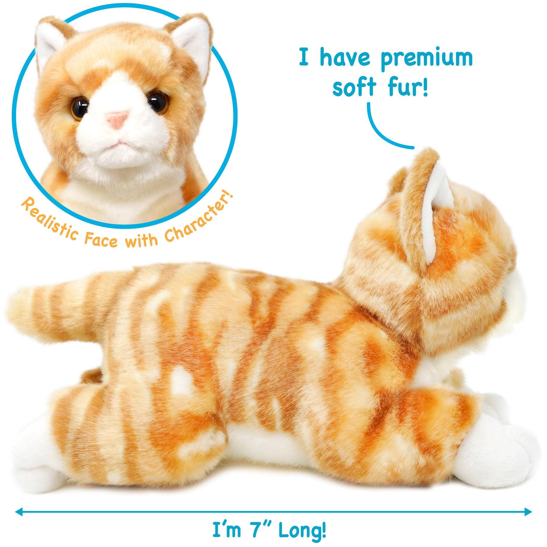 Tamarr the Orange Tabby Cat