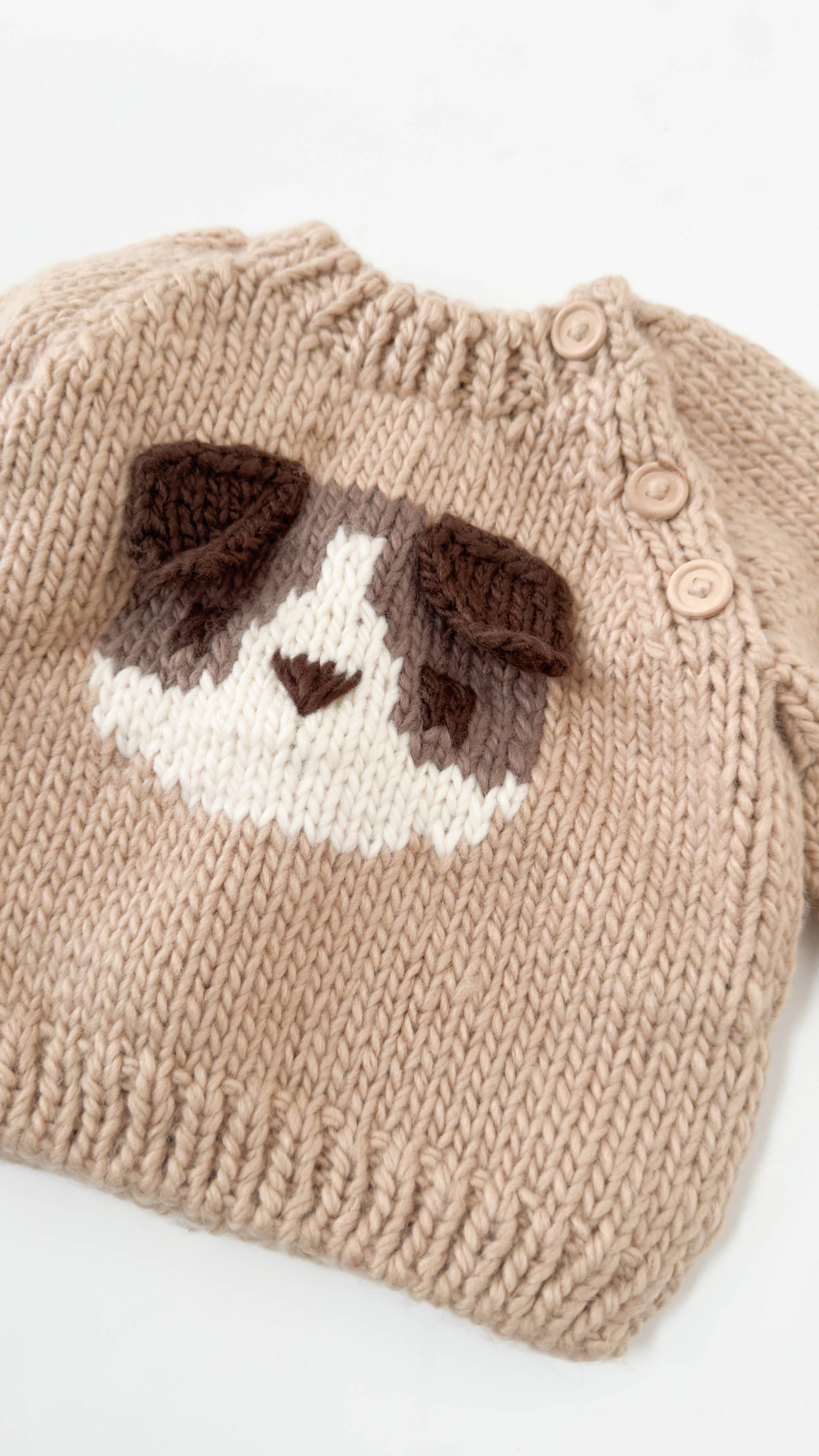 Dog Pullover 3D Sweater Baby Kid Fall Winter School: Latte / XS 6-12m