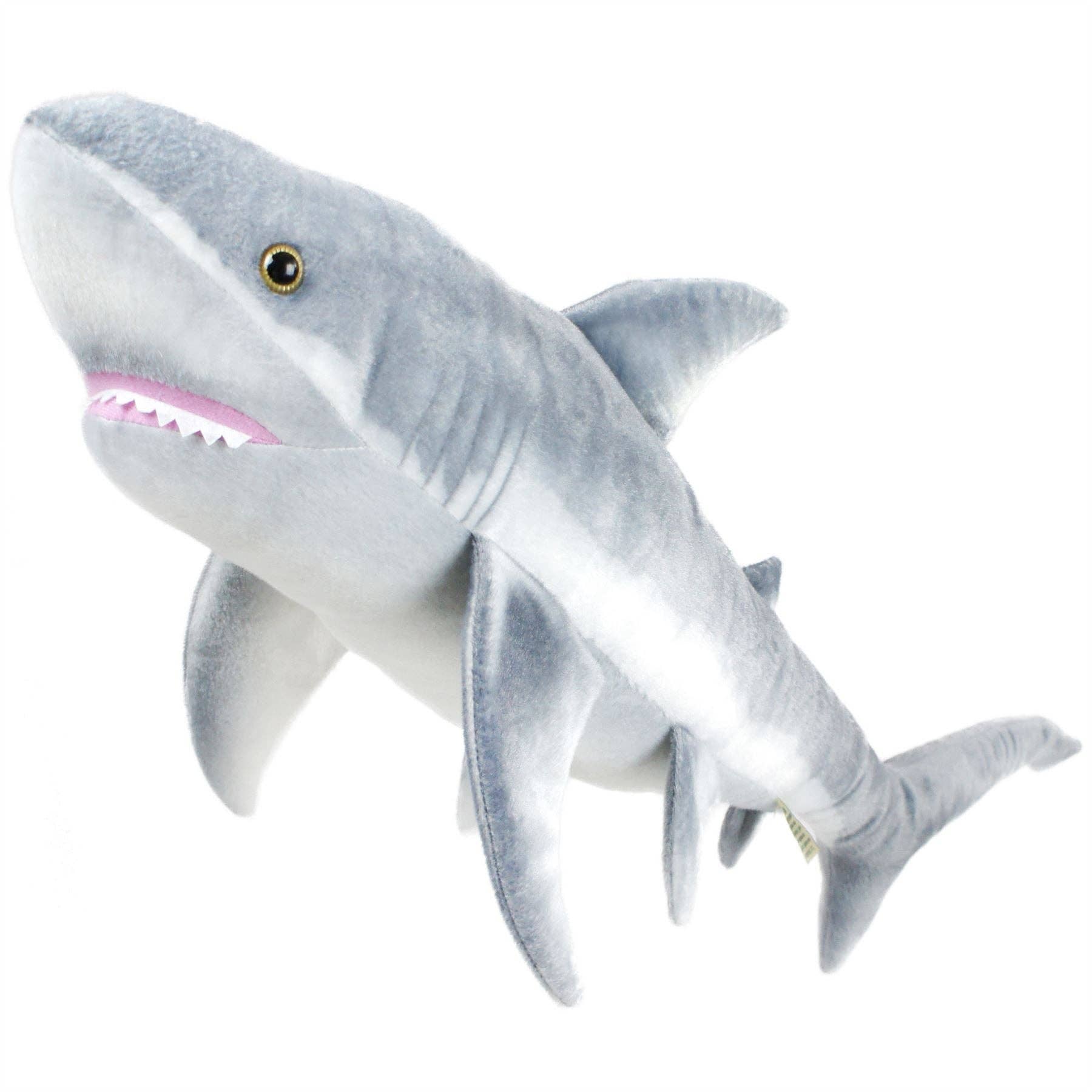 Sammy The Shark