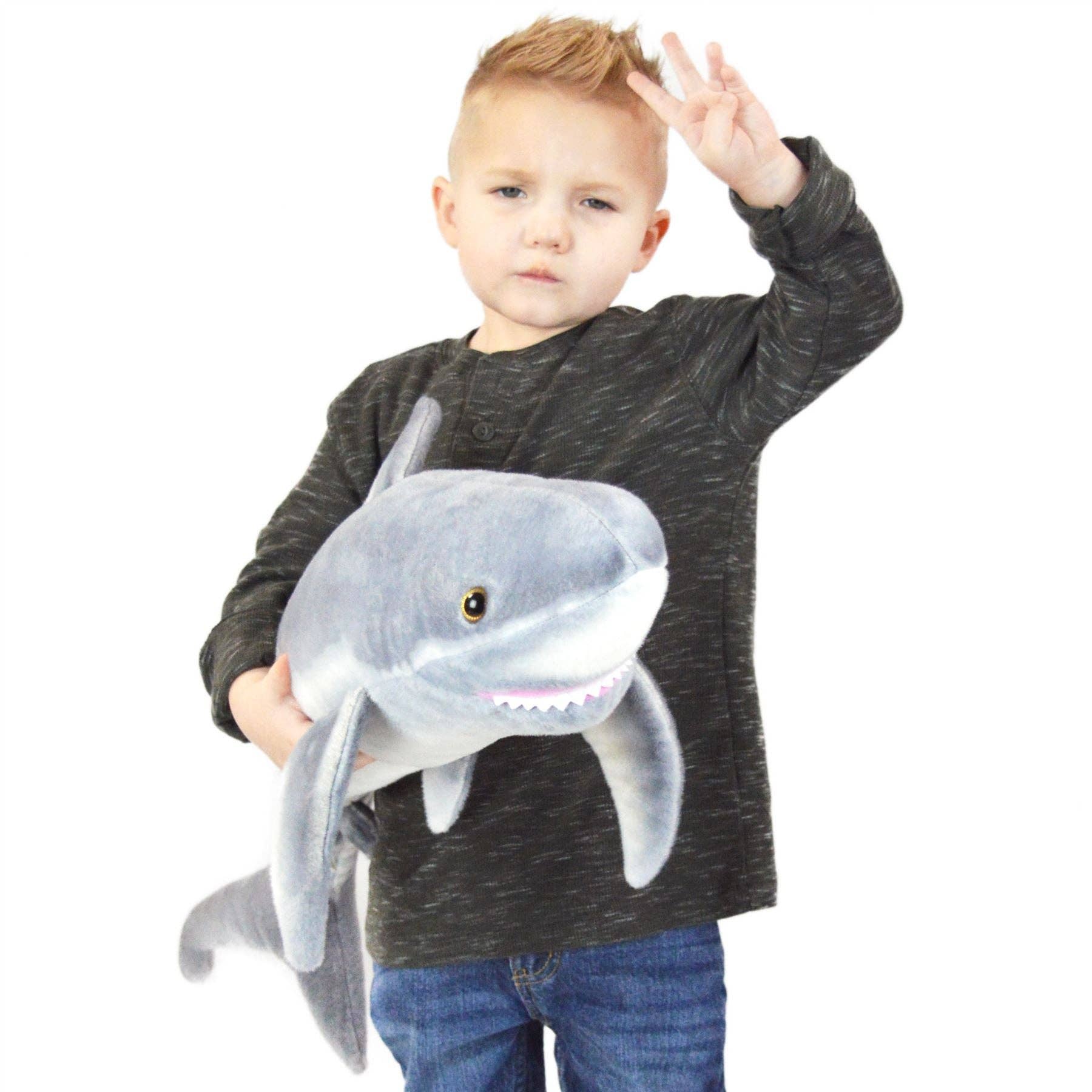 Sammy The Shark