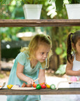Assorted Fruit And Vegetable Wood Toy for Kids
