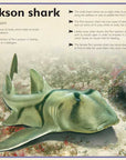 Magnificent Book of Sharks by Barbara Taylor