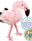 Fay The Flamingo