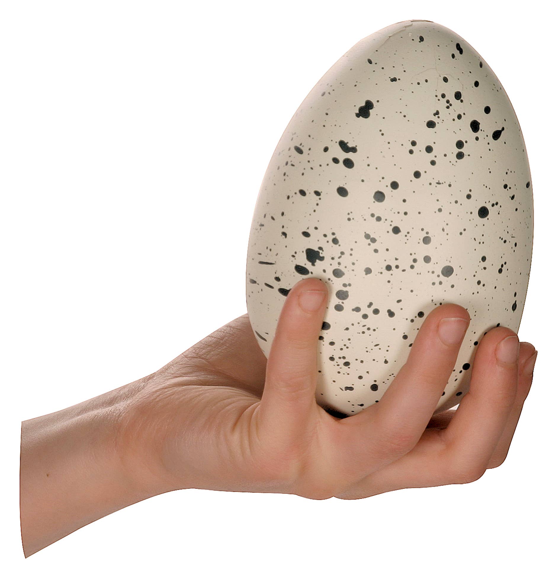 Dino Egg Ginormous Grow Egg, Just Add Water