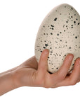 Dino Egg Ginormous Grow Egg, Just Add Water