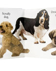 Dog by Matthew Van Fleet: Novelty; 20 pages / English