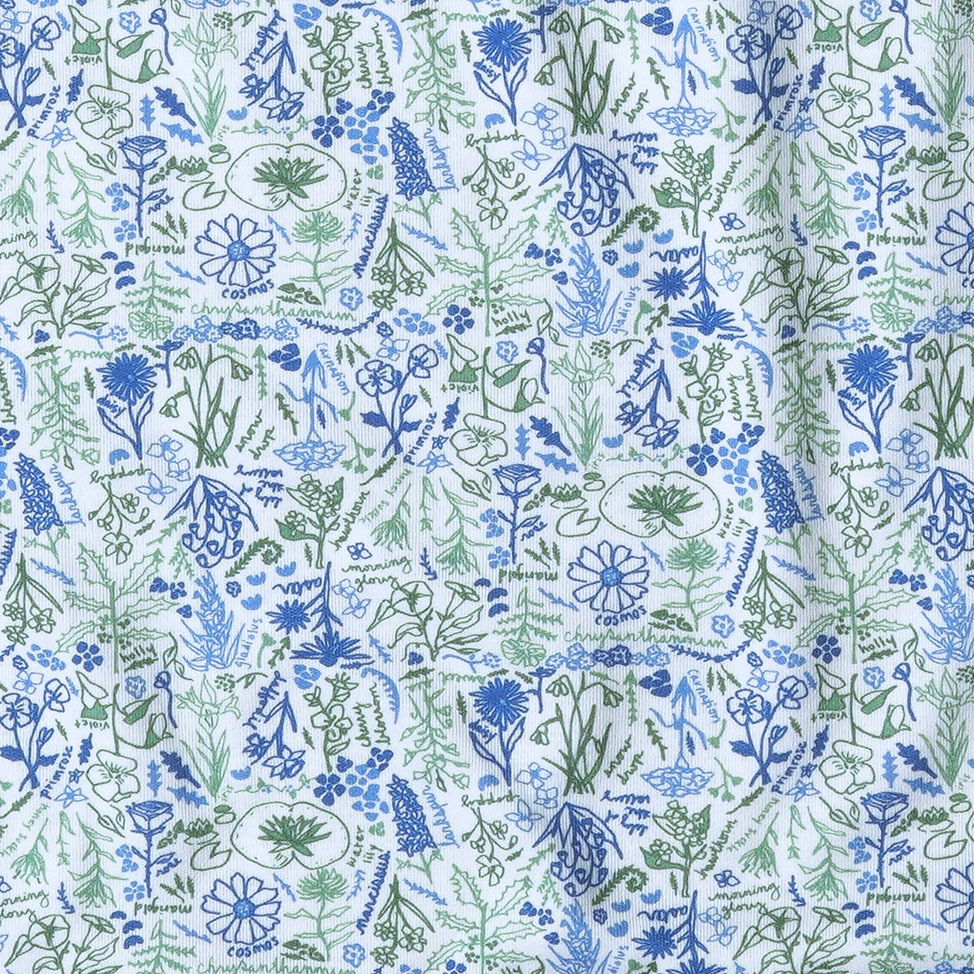 joy street birth flowers print