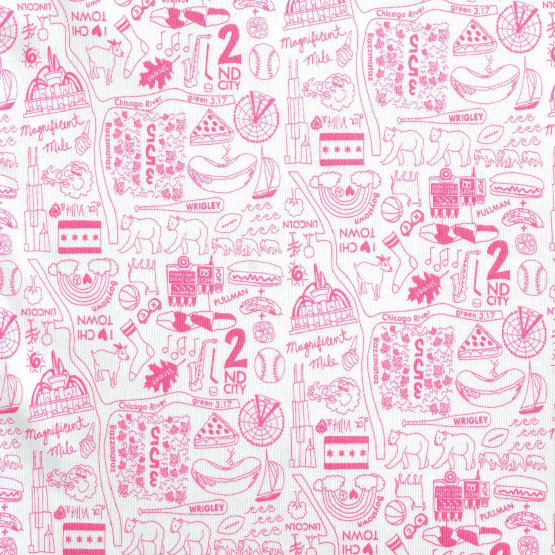 Chicago Baby Blanket