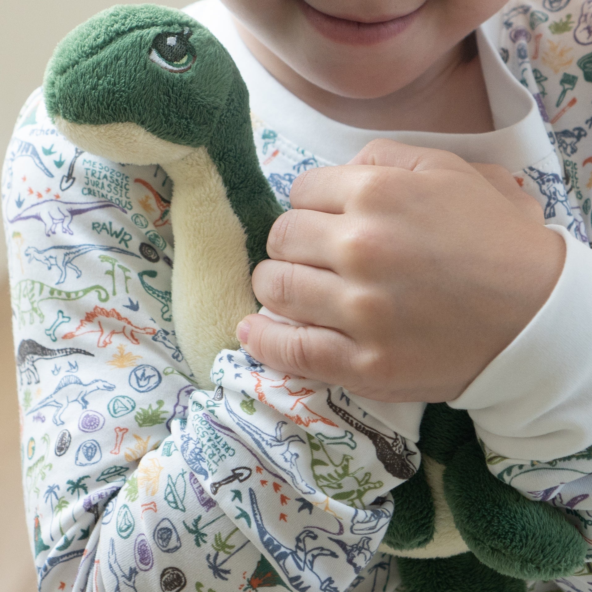 Joy Street Dinosaur Pajamas