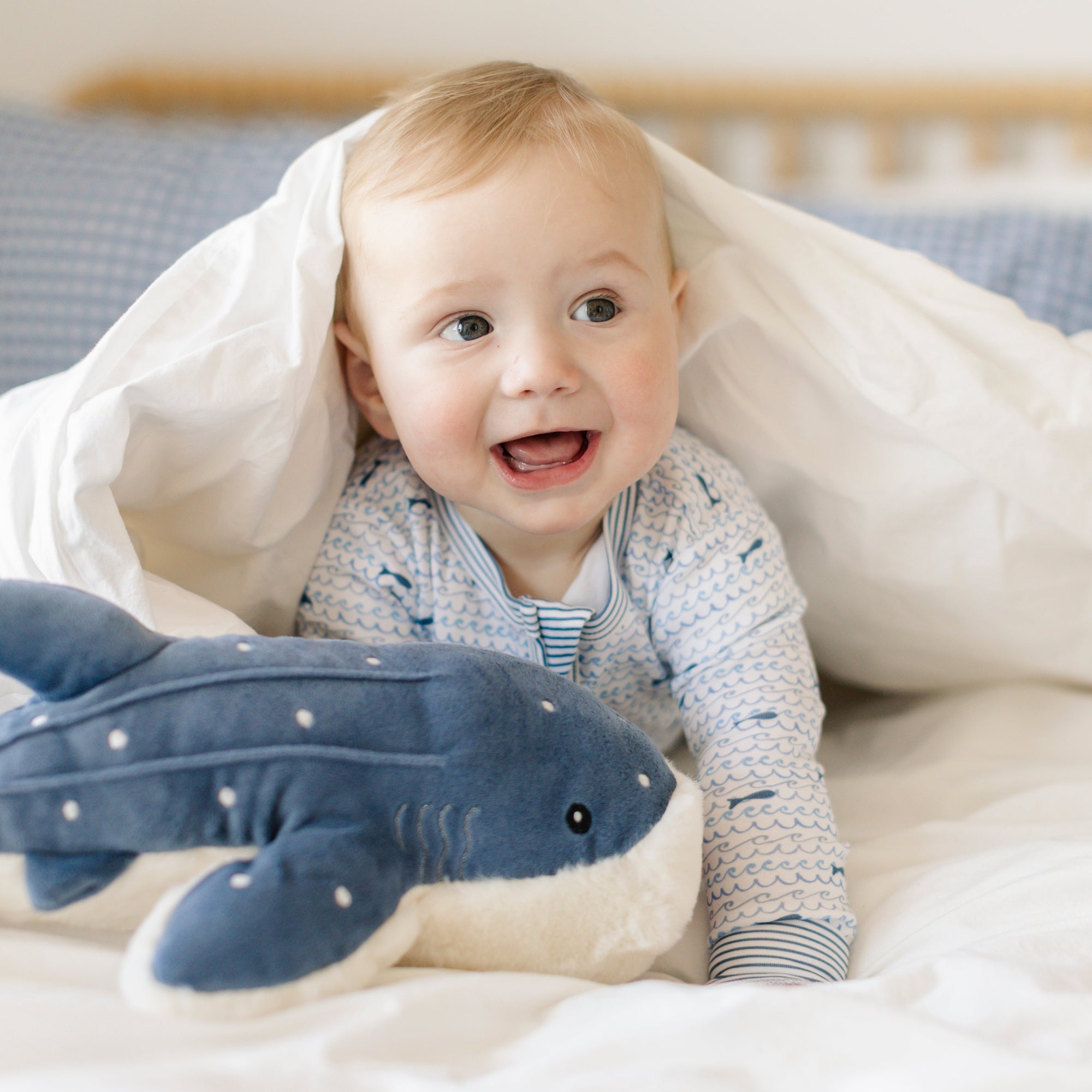 Sharks Zip Baby Onesie