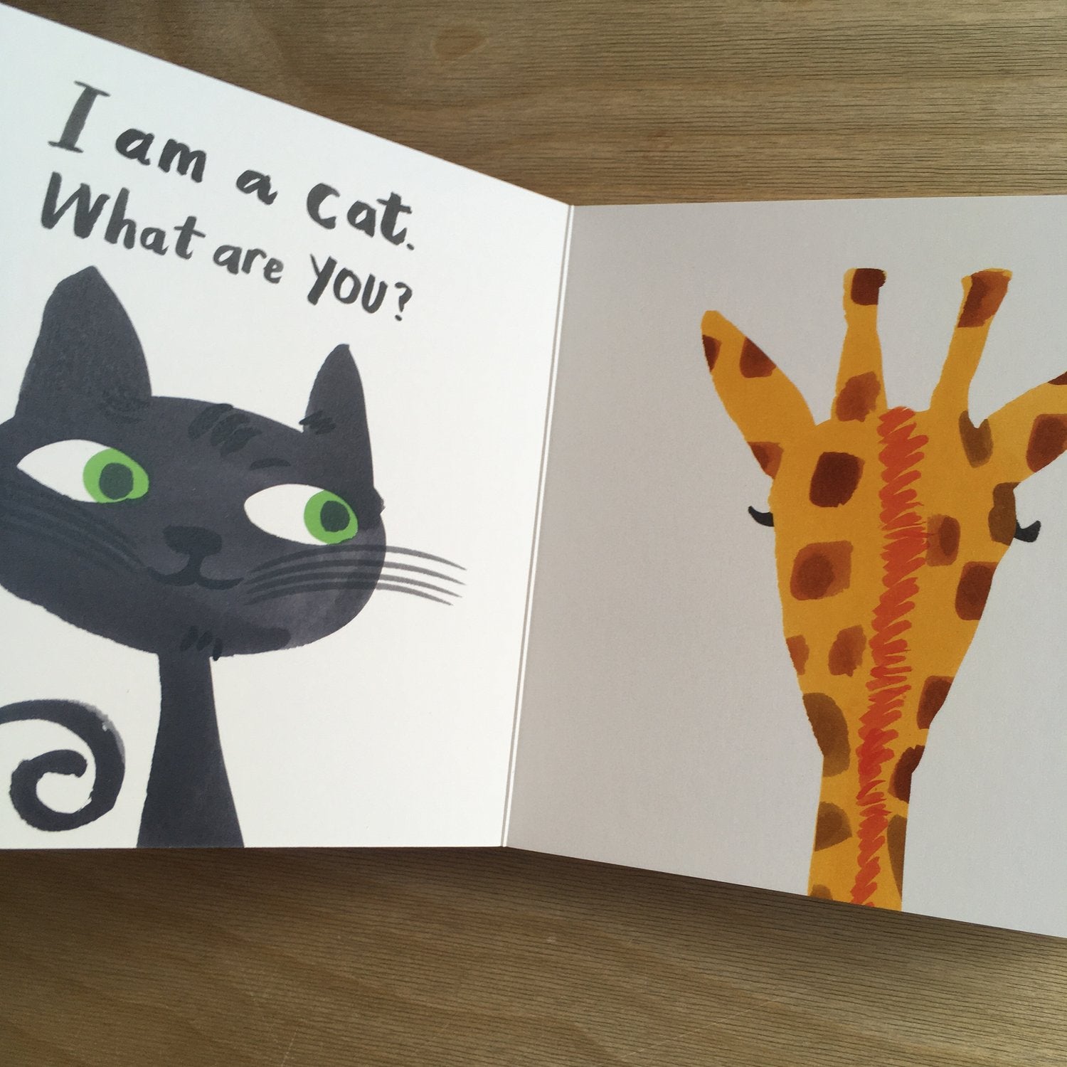 Let's Look at... Animals