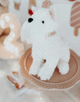 Mon Ami Wes the Westie