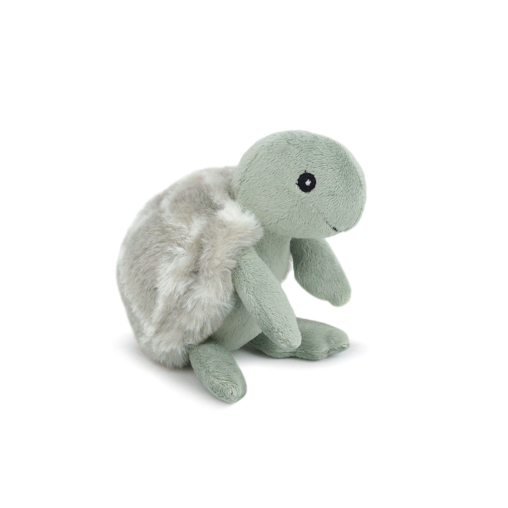 Taylor Turtle Rattle