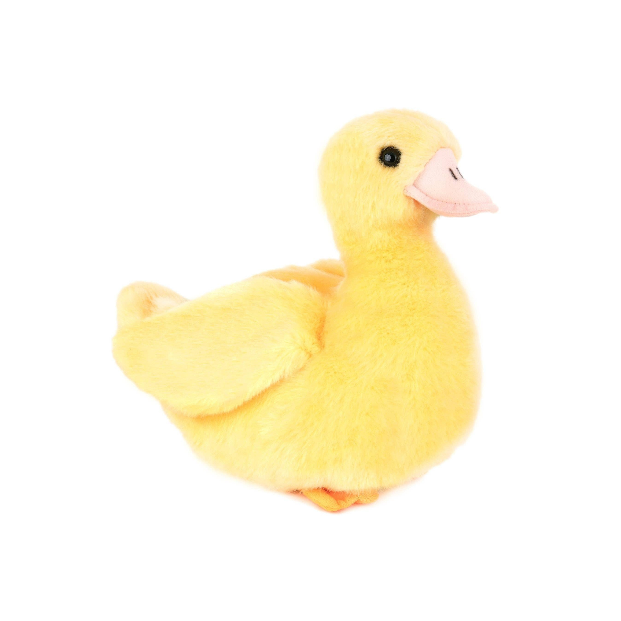 Dani the Duckling