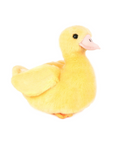 Dani the Duckling