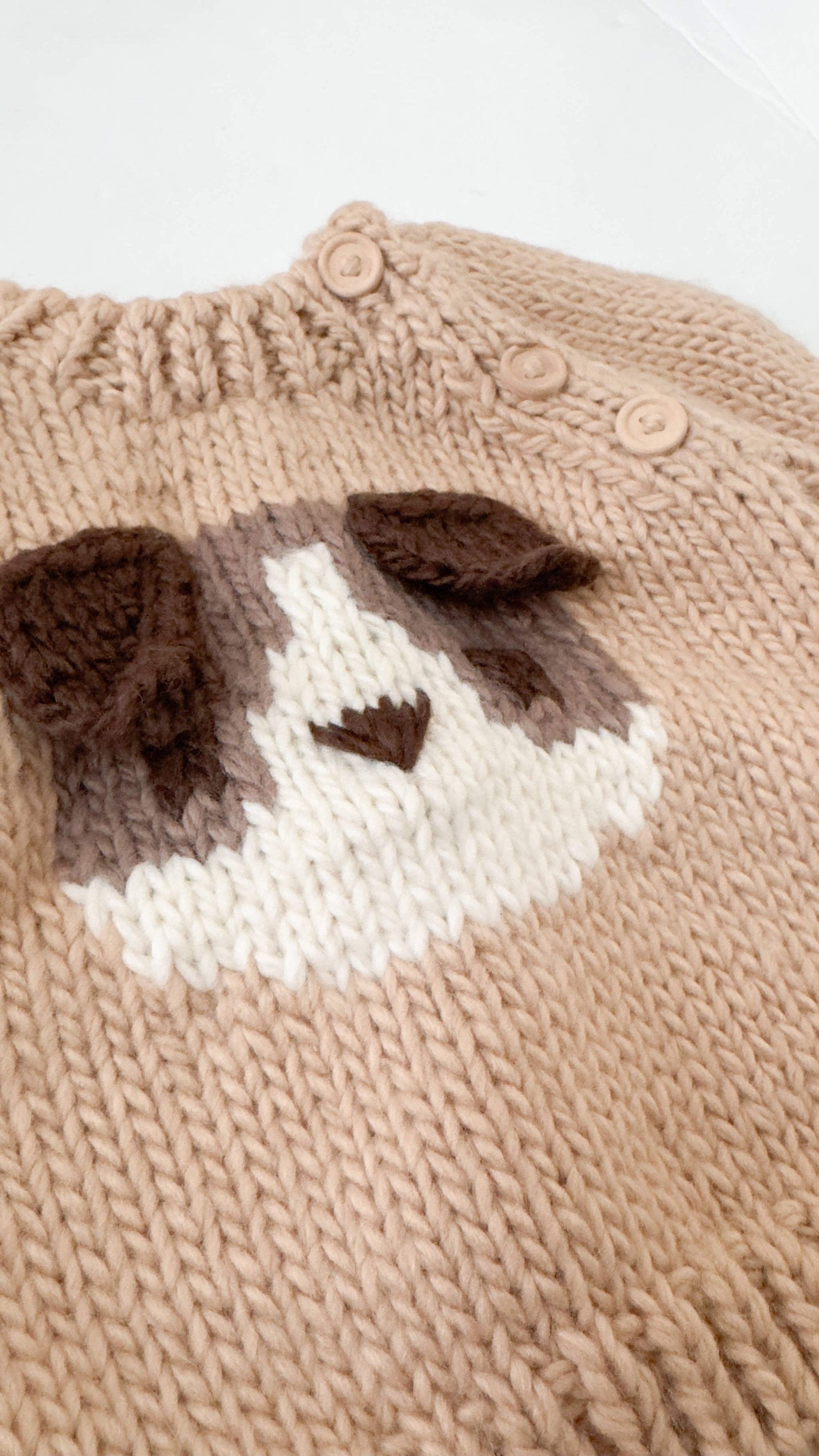 Dog Pullover 3D Sweater Baby Kid Fall Winter School: Latte / XS 6-12m