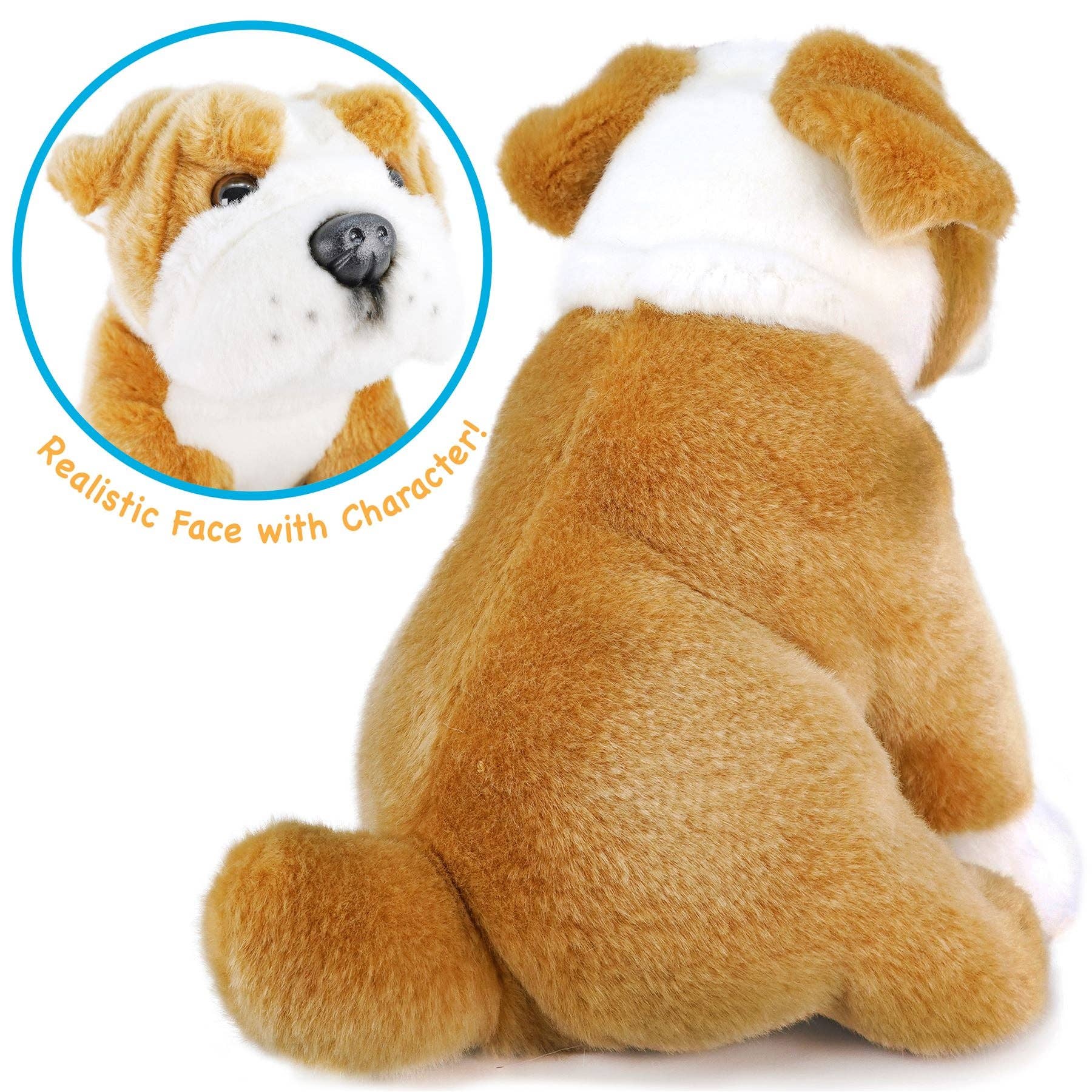 Egan the English Bulldog