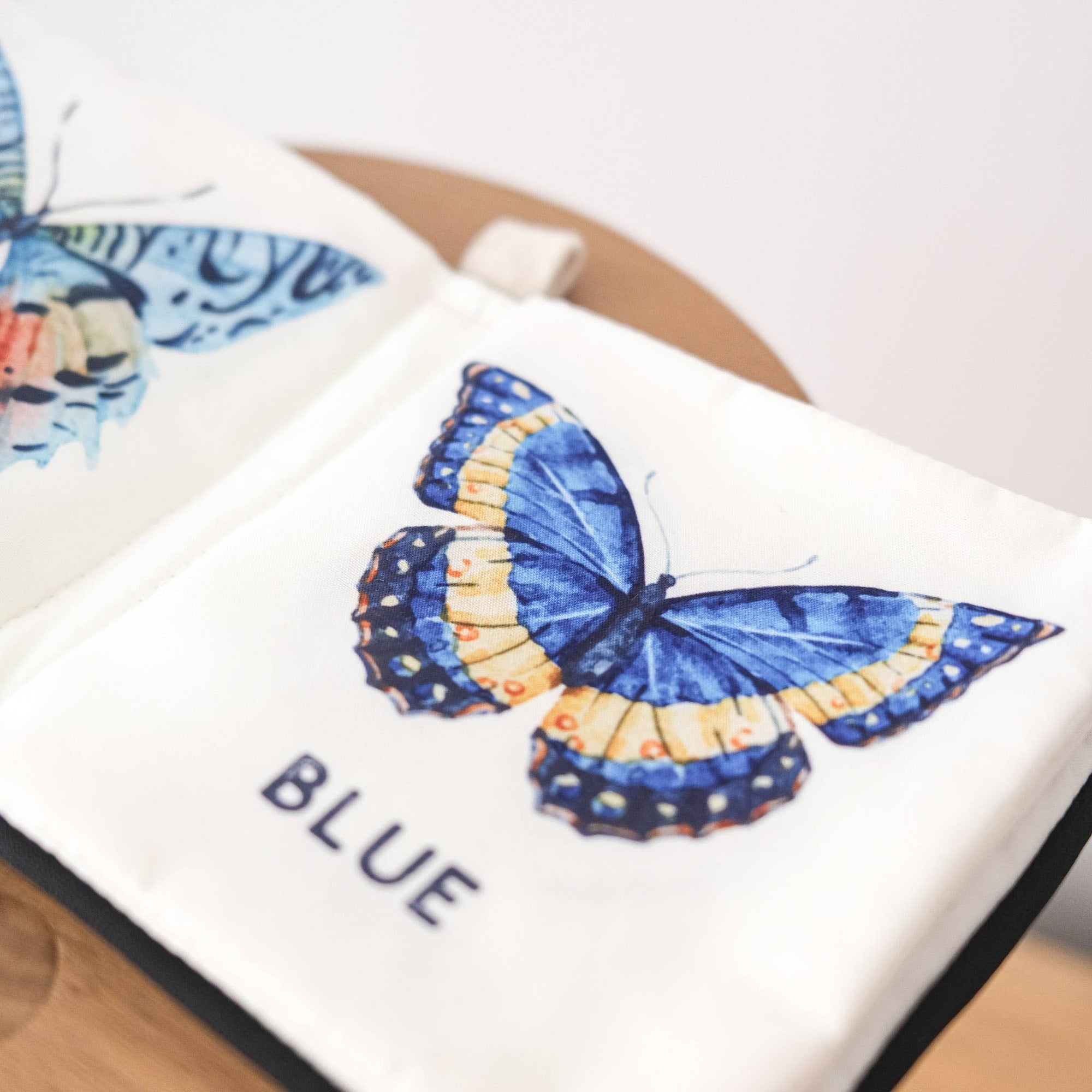 COLORS OF BUTTERFLIES