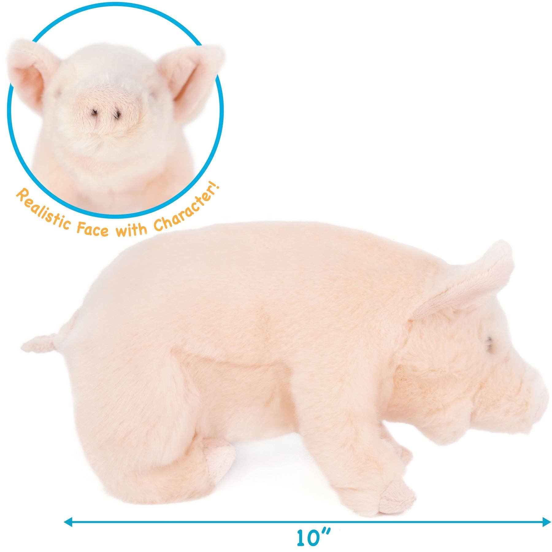 Perla The Pig