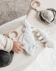 Fish Handheld Baby Rattle