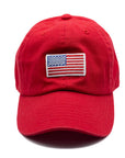 Flag Patch Baseball hat: Denim / Toddler (1Y-4Y)