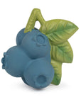 Jerry the Blueberry