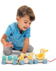 Pull Along Ducks