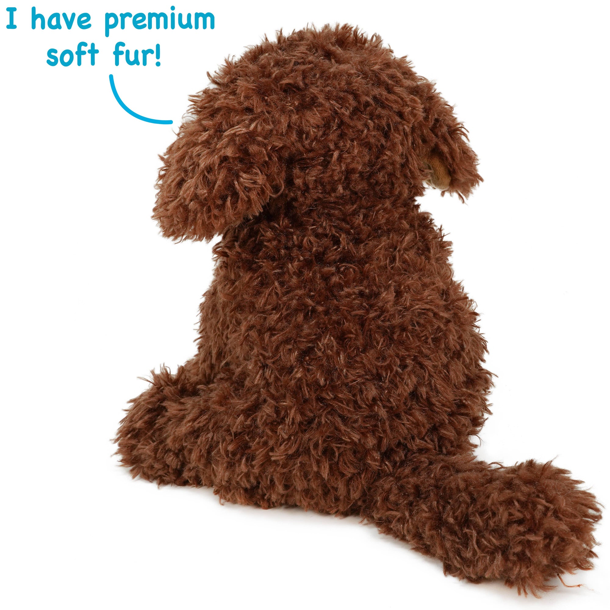 Laurel The Labradoodle