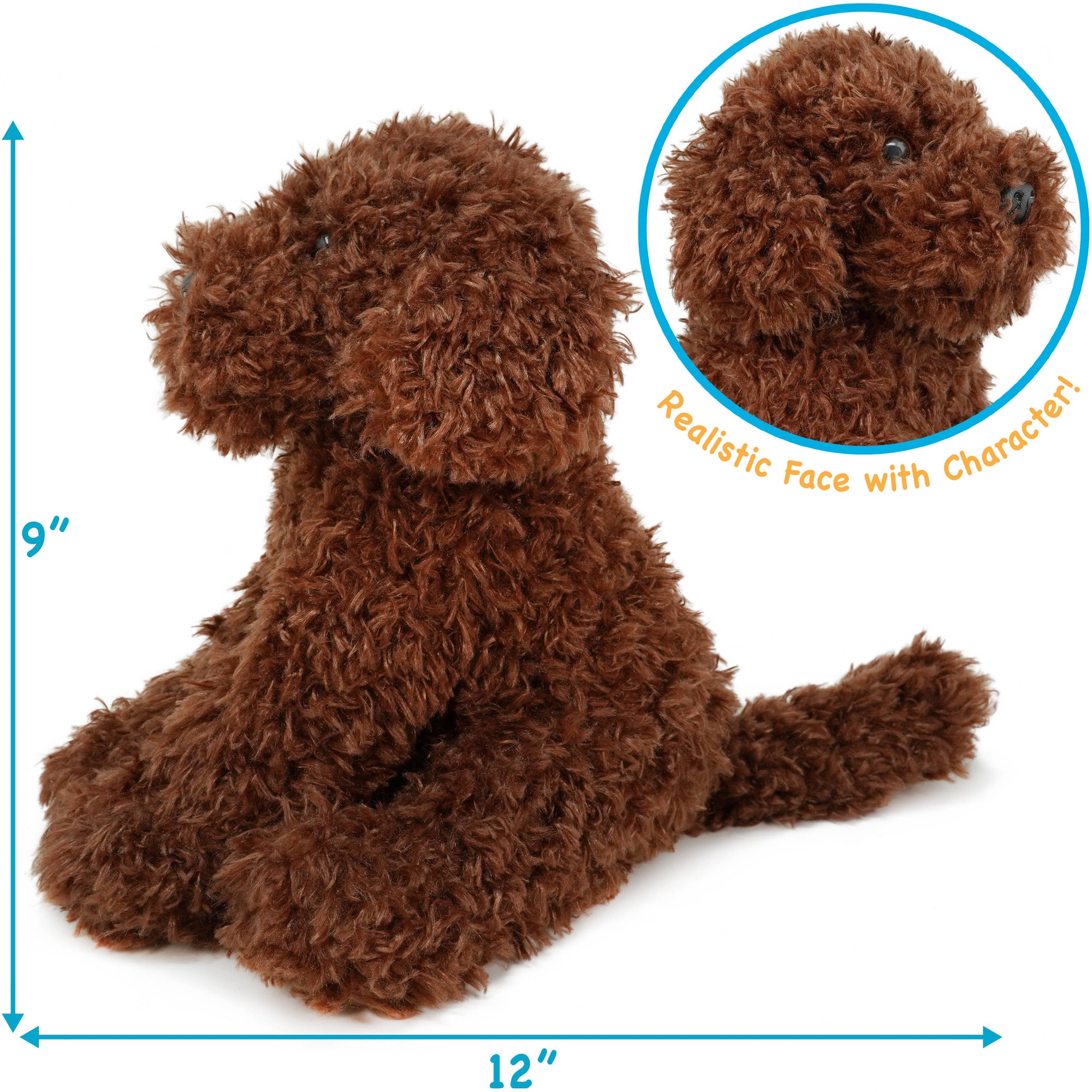 Laurel The Labradoodle