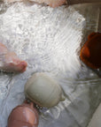 Animal Mold Free Silicone Bath Toy Set