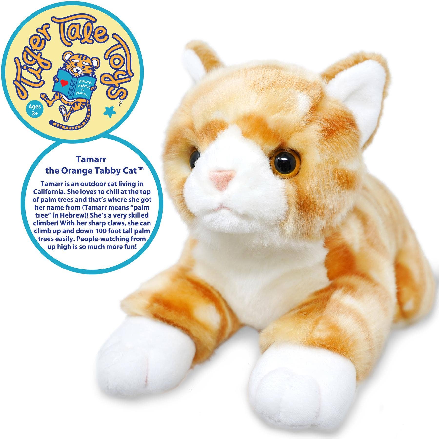Tamarr the Orange Tabby Cat
