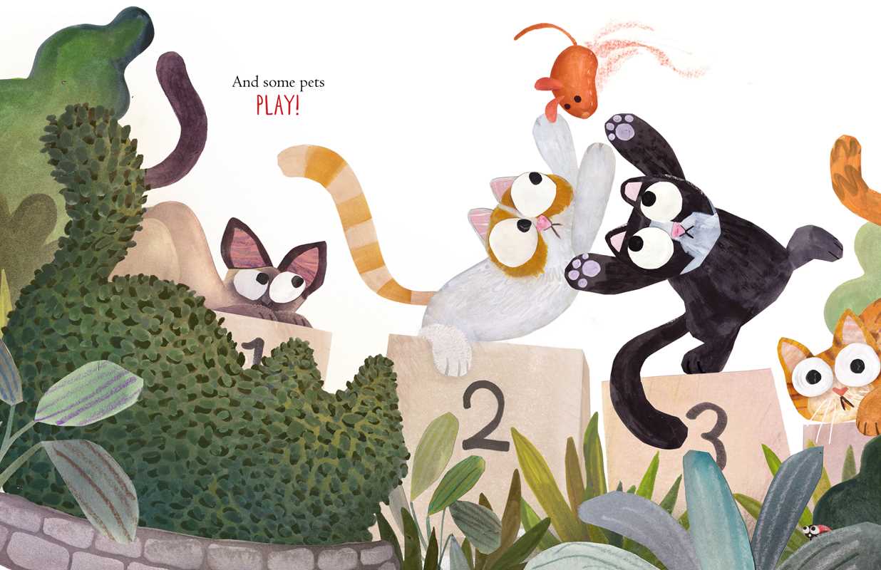 Some Pets by Angela DiTerlizzi: Hardcover; 32 pages / English