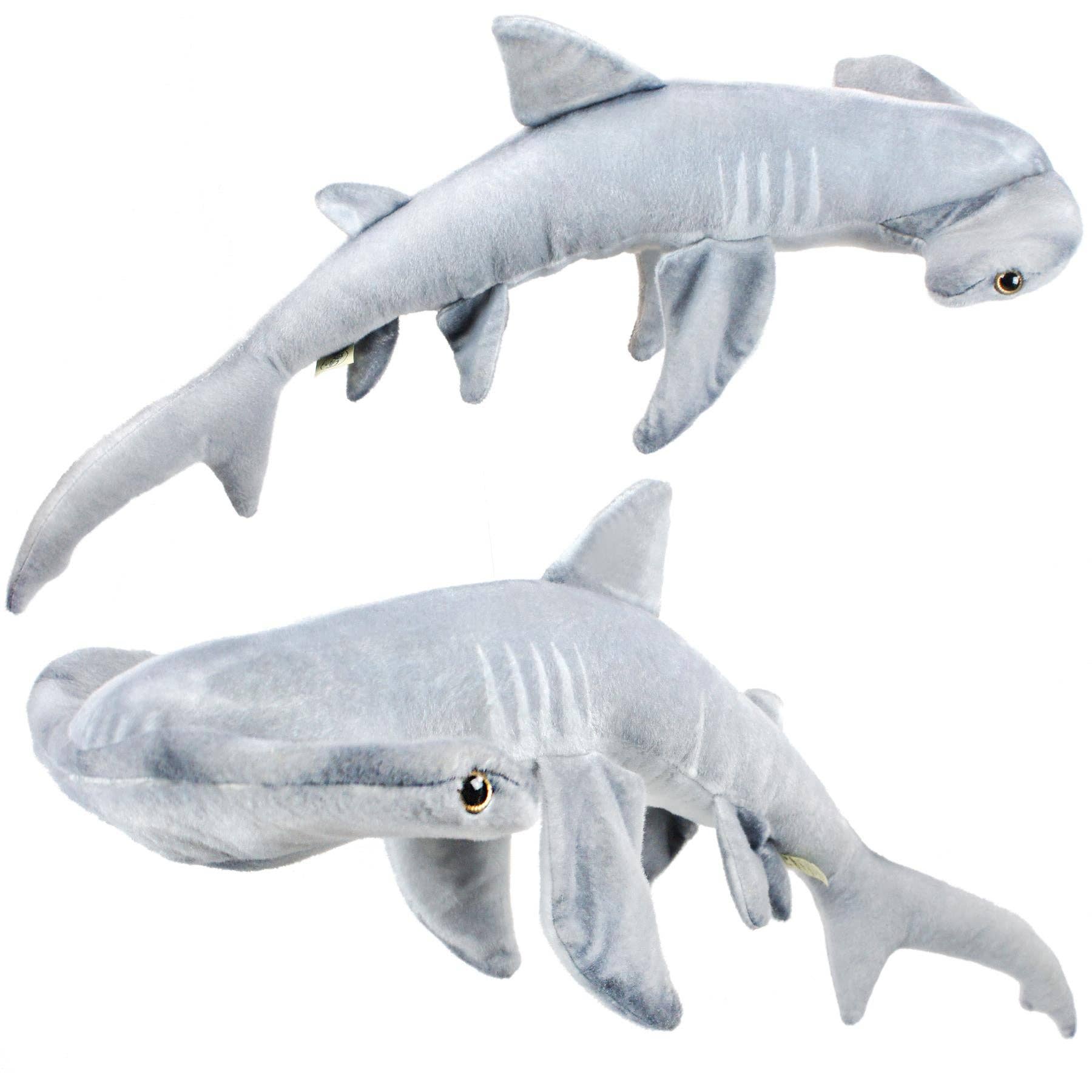 MC The Hammerhead Shark