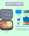 Jurassic Dinosaurs Lunch Box