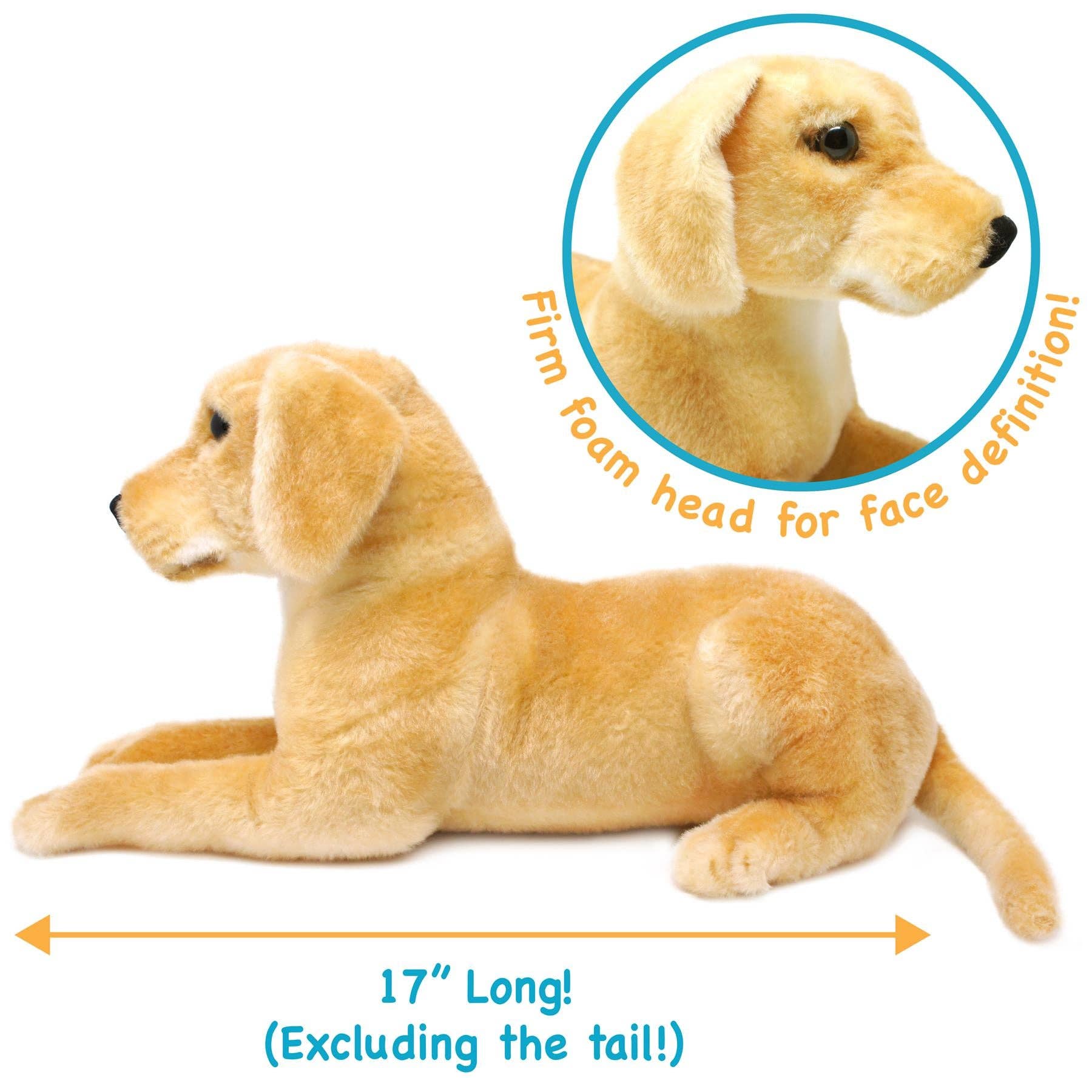 Mason The Labrador