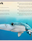 Magnificent Book of Sharks by Barbara Taylor