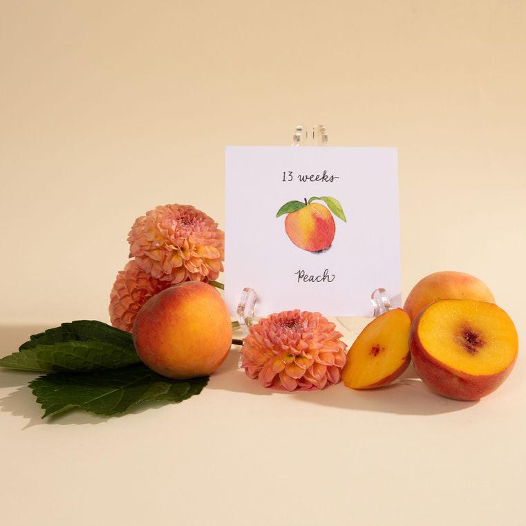 Jardin des Bébés Pregnancy Growth Cards