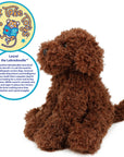 Laurel The Labradoodle
